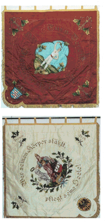 Die Vereinsfahne des TuS Frei-Laubersheim 1900 e.V.